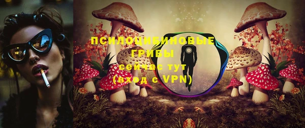 шишки Михайловск