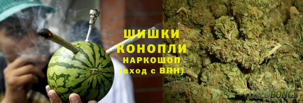 шишки Михайловск
