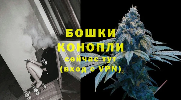 шишки Михайловск