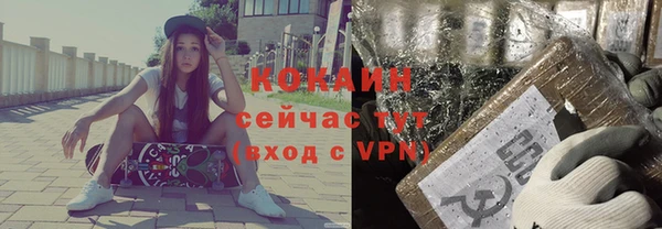 шишки Михайловск
