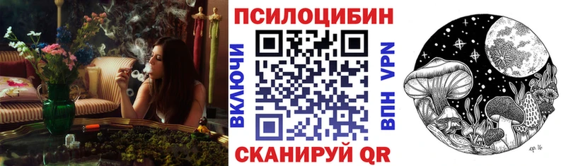 Галлюциногенные грибы мицелий  купить наркотик  Кисловодск 