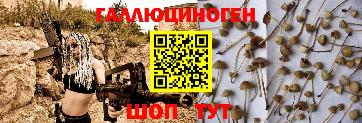 Галлюциногенные грибы MAGIC MUSHROOMS Кисловодск
