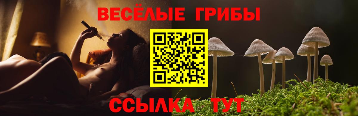 Галлюциногенные грибы прущие грибы  закладки  Кисловодск  Вход с VPN  Псилоцибиновые грибы прущие грибы 
